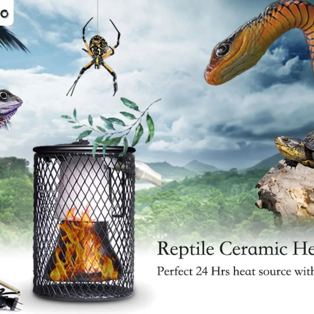 100W Reptile Ceramic Heat Lamp | Anti-hot Cage Light Holder Switch | Chicken Brooder