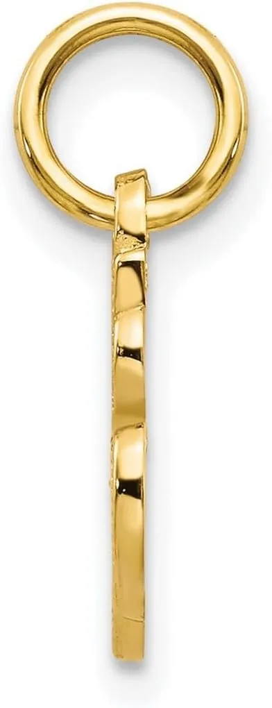 JewelryWeb 10k Yellow Gold Solid Satin Letter Name Personalized Monogram Initial Charm 15x11mm Wide Pendant Necklace for Women