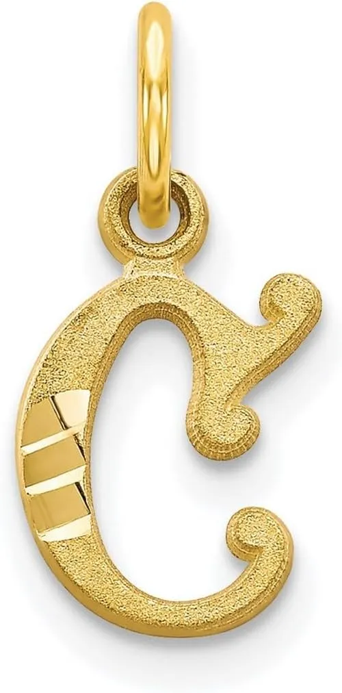 JewelryWeb 10k Yellow Gold Solid Satin Letter Name Personalized Monogram Initial Charm 20x11mm Wide Pendant Necklace for Women